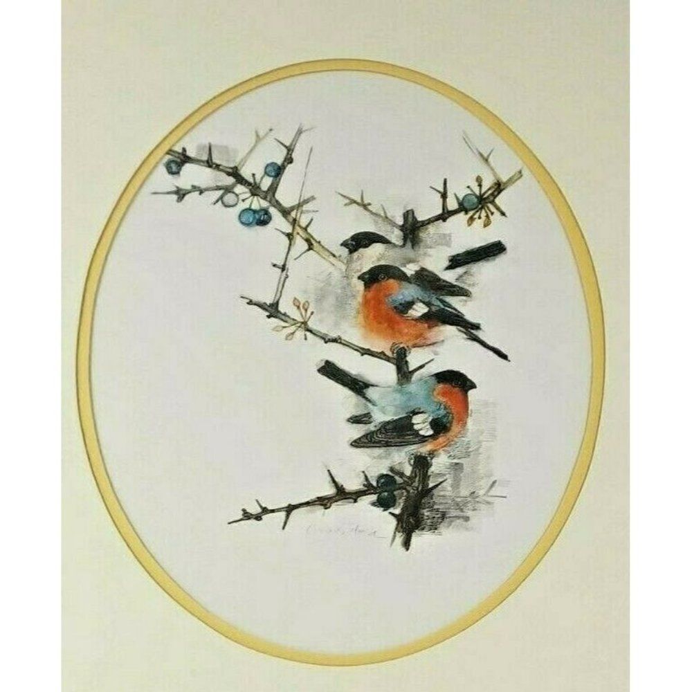 Vintage 80s Framed Danish Watercolor Bird Series Artist Mads Stage Spring Robins